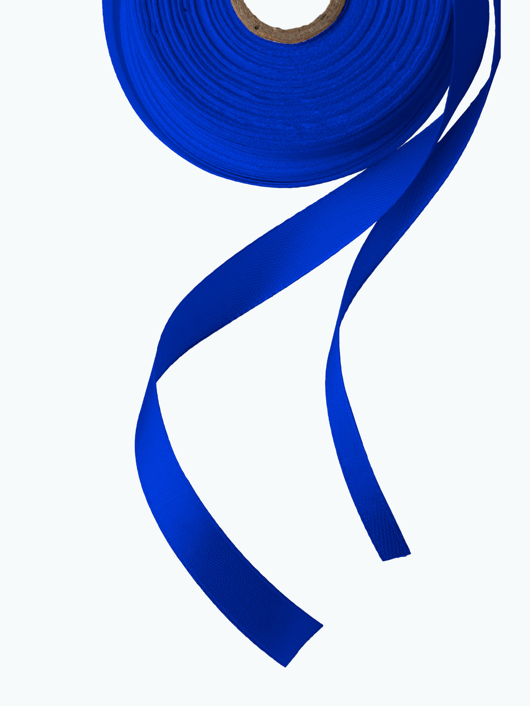 Blue Compostable Ribbon  